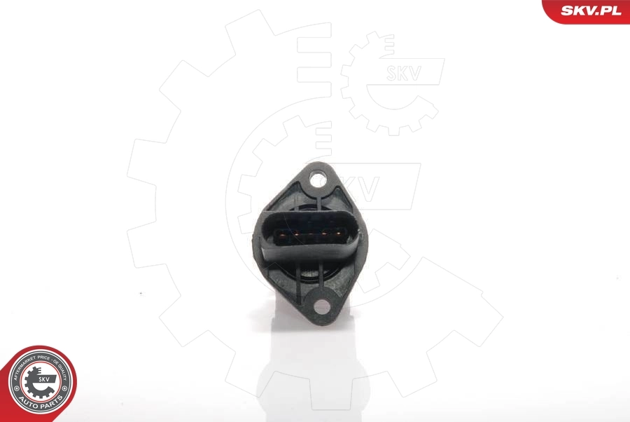 Mass Air Flow Sensor